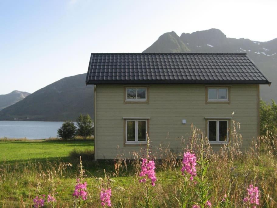 Charming House By The Sea, Lofoten! Laupstad Exterior foto